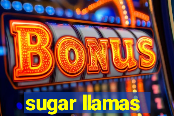 sugar llamas