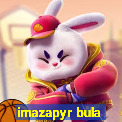 imazapyr bula