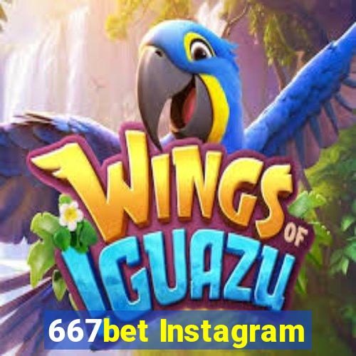 667bet Instagram