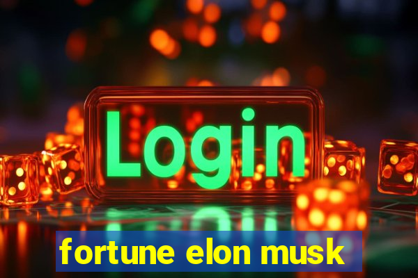 fortune elon musk