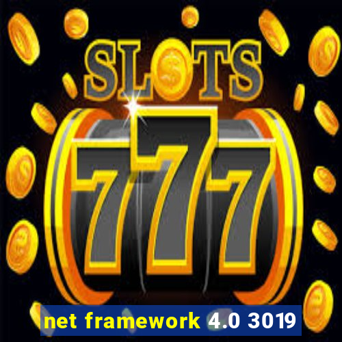 net framework 4.0 3019