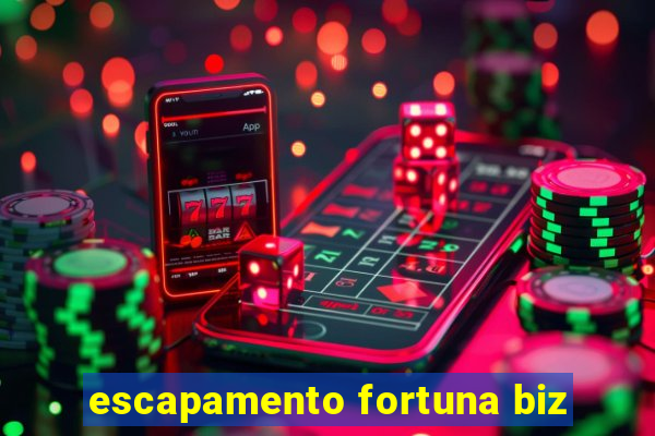 escapamento fortuna biz