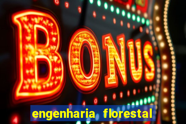 engenharia florestal ead cruzeiro do sul