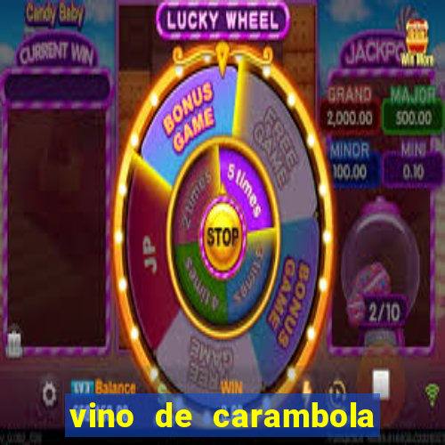 vino de carambola stardew valley