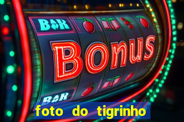 foto do tigrinho do jogo