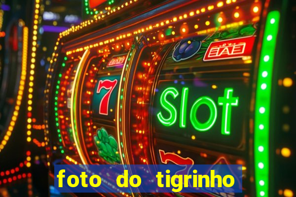 foto do tigrinho do jogo