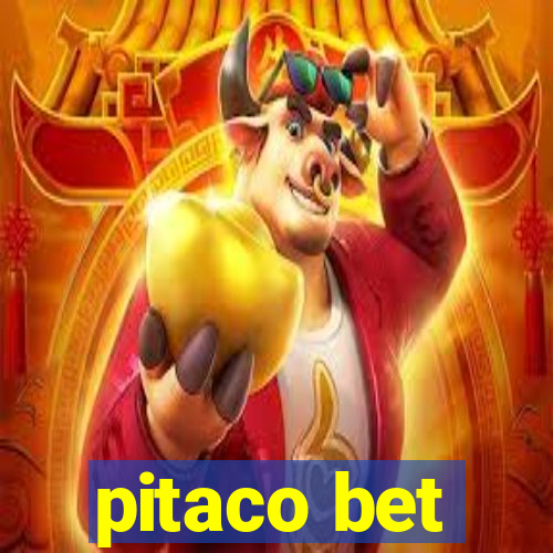 pitaco bet