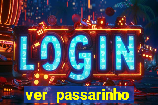 ver passarinho morto significado