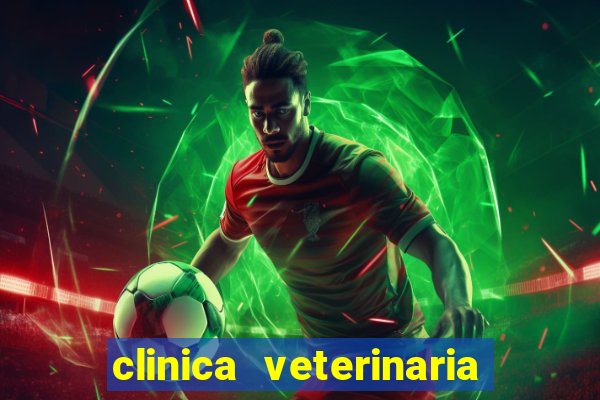 clinica veterinaria cuidar betim