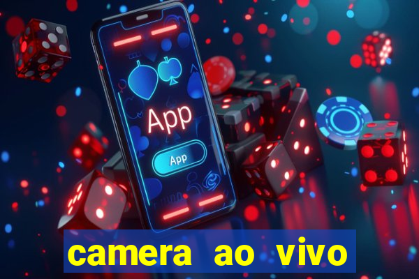 camera ao vivo terminal vila nova cachoeirinha