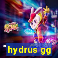 hydrus gg