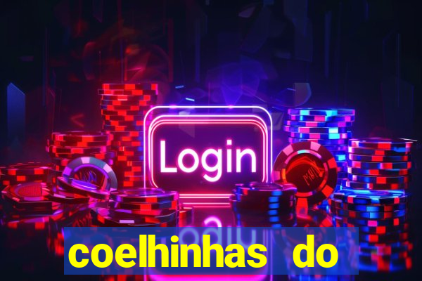 coelhinhas do brasil jp