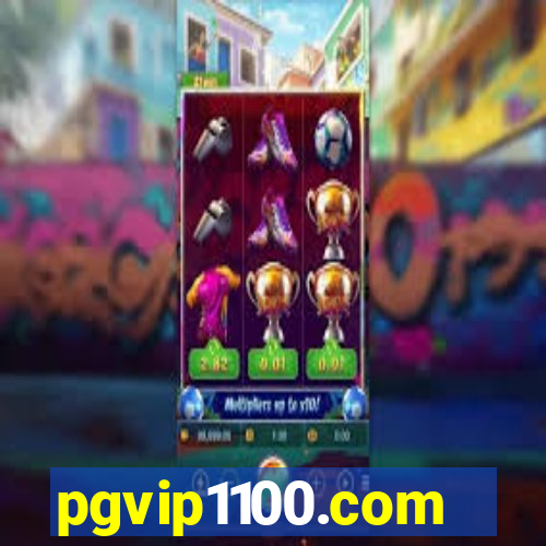 pgvip1100.com