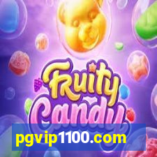 pgvip1100.com