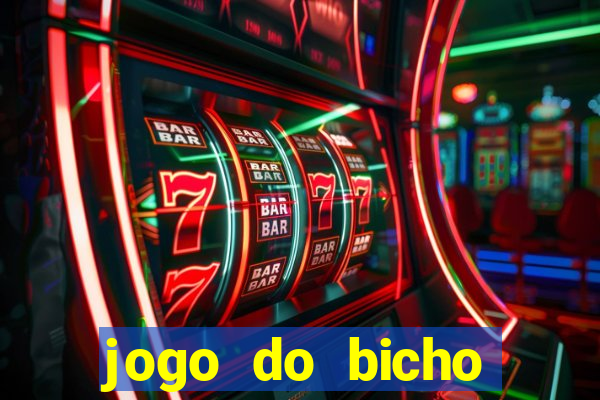 jogo do bicho crash bingo