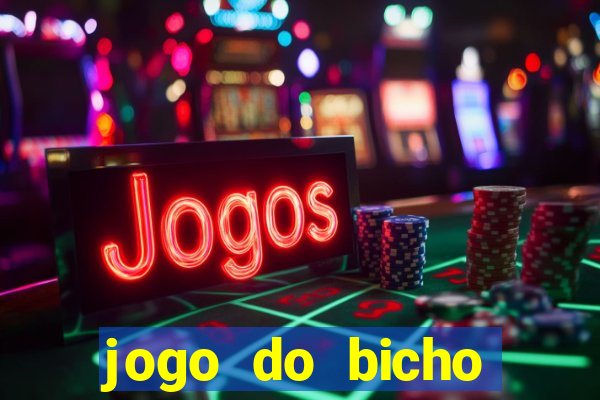 jogo do bicho crash bingo