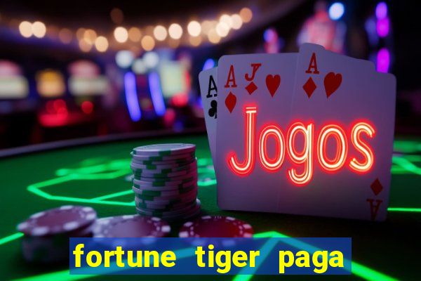 fortune tiger paga de madrugada