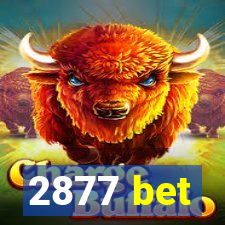 2877 bet