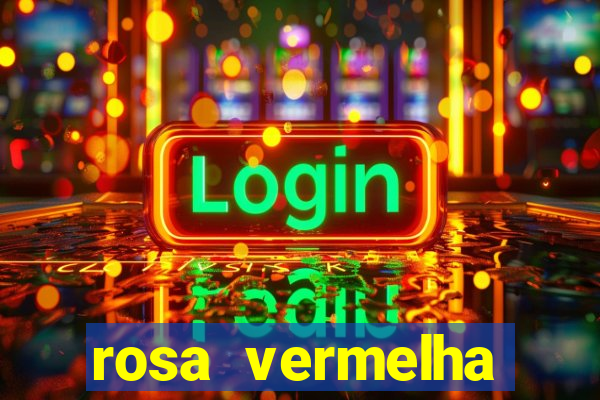 rosa vermelha (letra e cifra)