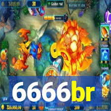 6666br