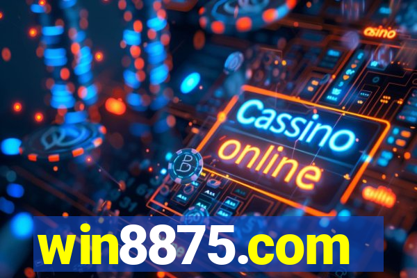 win8875.com