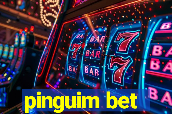 pinguim bet