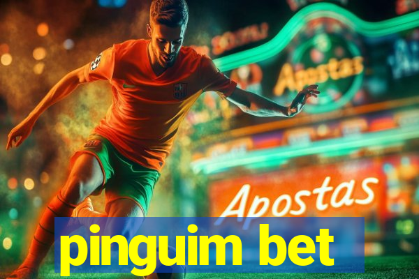 pinguim bet