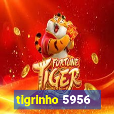 tigrinho 5956