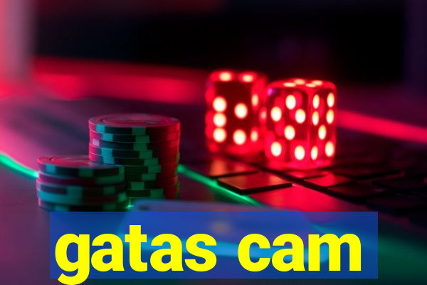 gatas cam