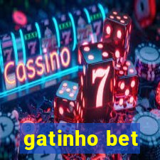 gatinho bet