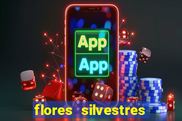 flores silvestres desbravadores desbravadores 25 flores silvestres e seus nomes