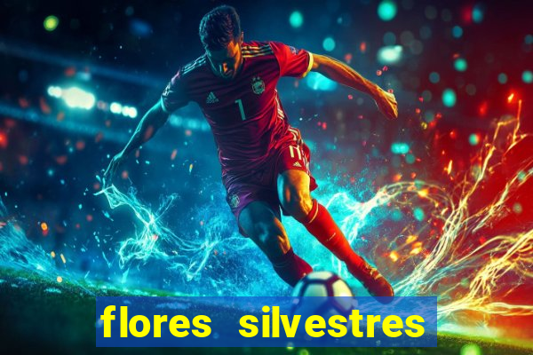 flores silvestres desbravadores desbravadores 25 flores silvestres e seus nomes