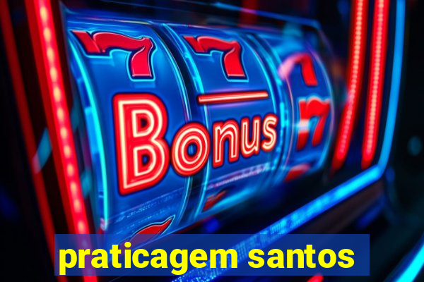 praticagem santos