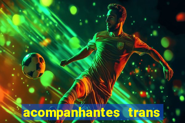 acompanhantes trans baixada fluminense