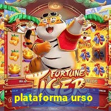 plataforma urso