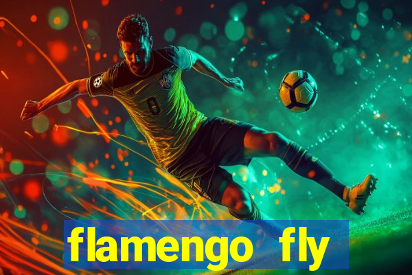 flamengo fly emirates ultimas noticias