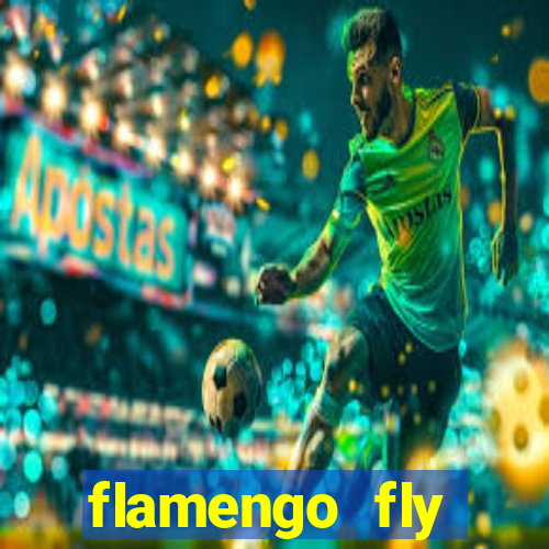 flamengo fly emirates ultimas noticias