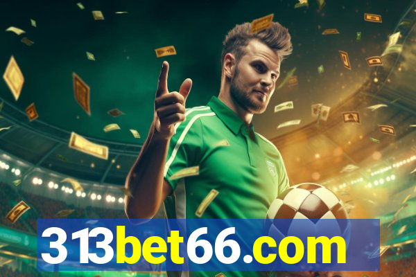 313bet66.com