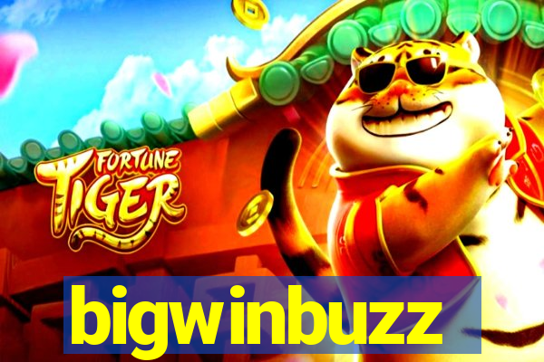 bigwinbuzz