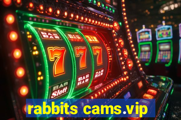 rabbits cams.vip