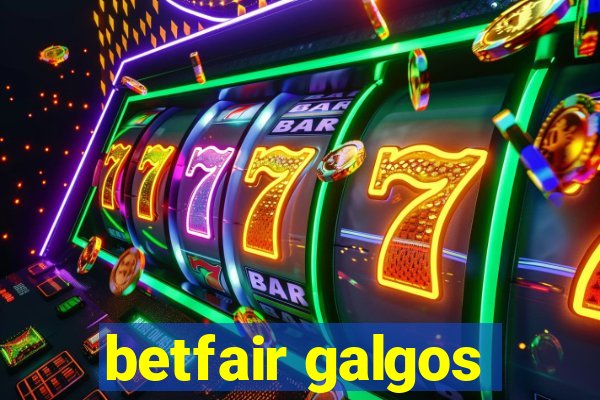 betfair galgos