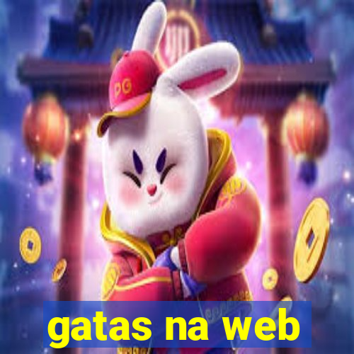 gatas na web