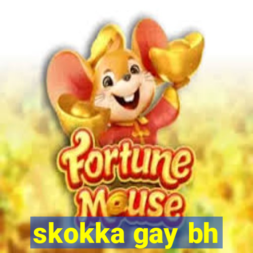 skokka gay bh