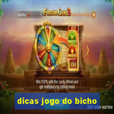 dicas jogo do bicho