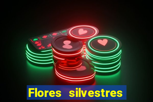 Flores silvestres brasileiras 25