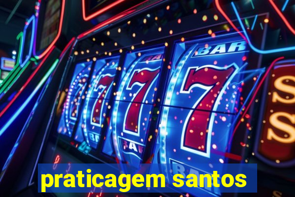 praticagem santos