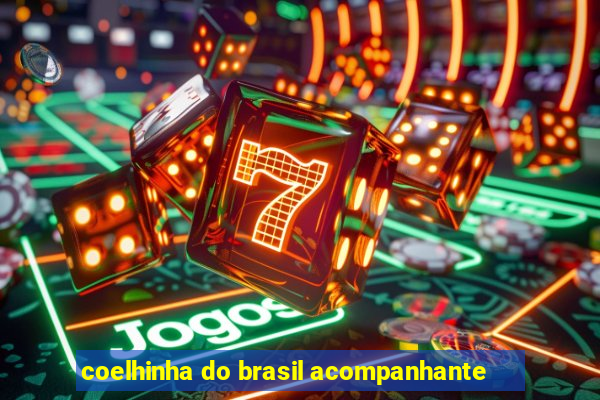 coelhinha do brasil acompanhante