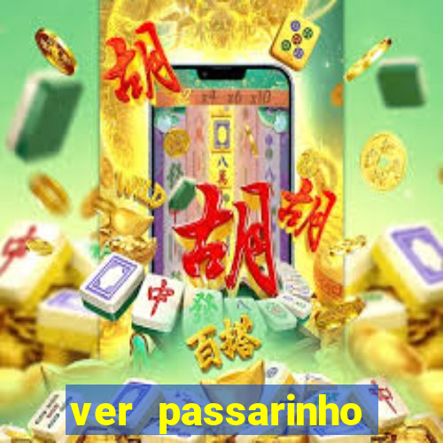 ver passarinho morto significado espiritual