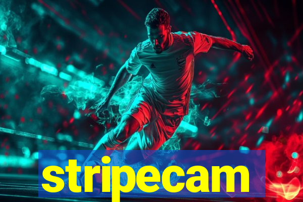 stripecam