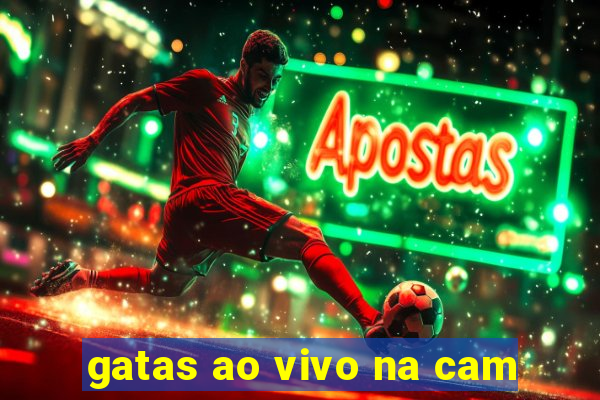 gatas ao vivo na cam